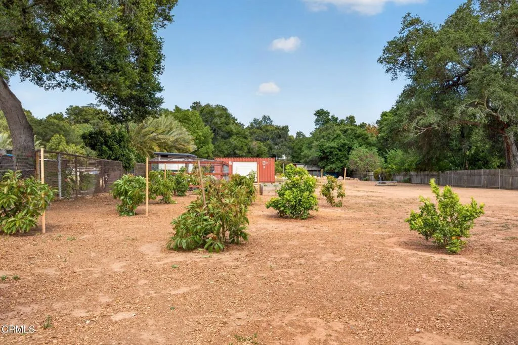Additional image 114 of 1186 S Rice Road, Ojai, CA 93023