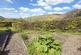 Additional image 21 of Knucklas Road, Knighton