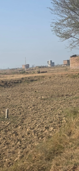 Sohna, Gurgaon photo 3
