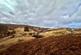 Gress HS2 photo 3