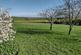 Additional image 30 of Horwood, Bideford
