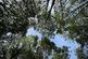 Additional image 17 of Chiffchaff Wood (6 and a half acres), Whitney-on-Wye, Hay-on-Wye, Herefordshire HR3