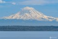 Additional image 22 of 8302 SW Dilworth Rd, Vashon, WA, 98070