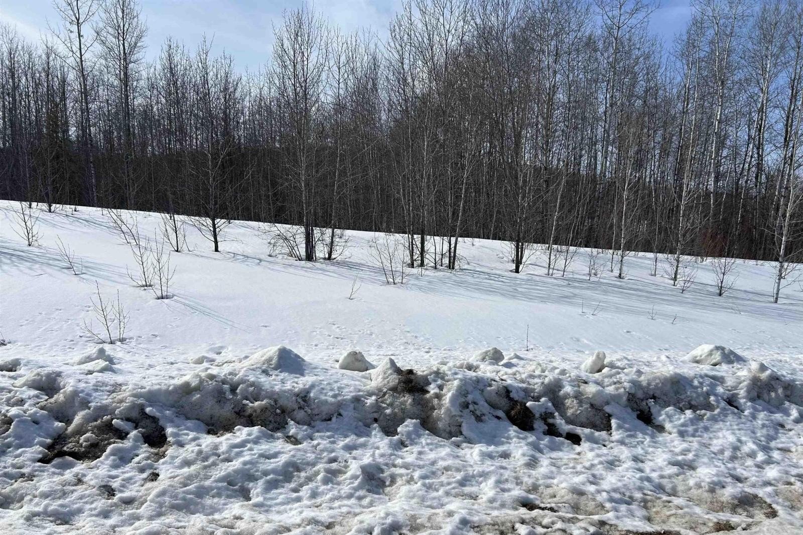 Additional image 5 of NE-23 62 1 W4 411a Road, Rural Bonnyville M.d., AB, T0A0T0