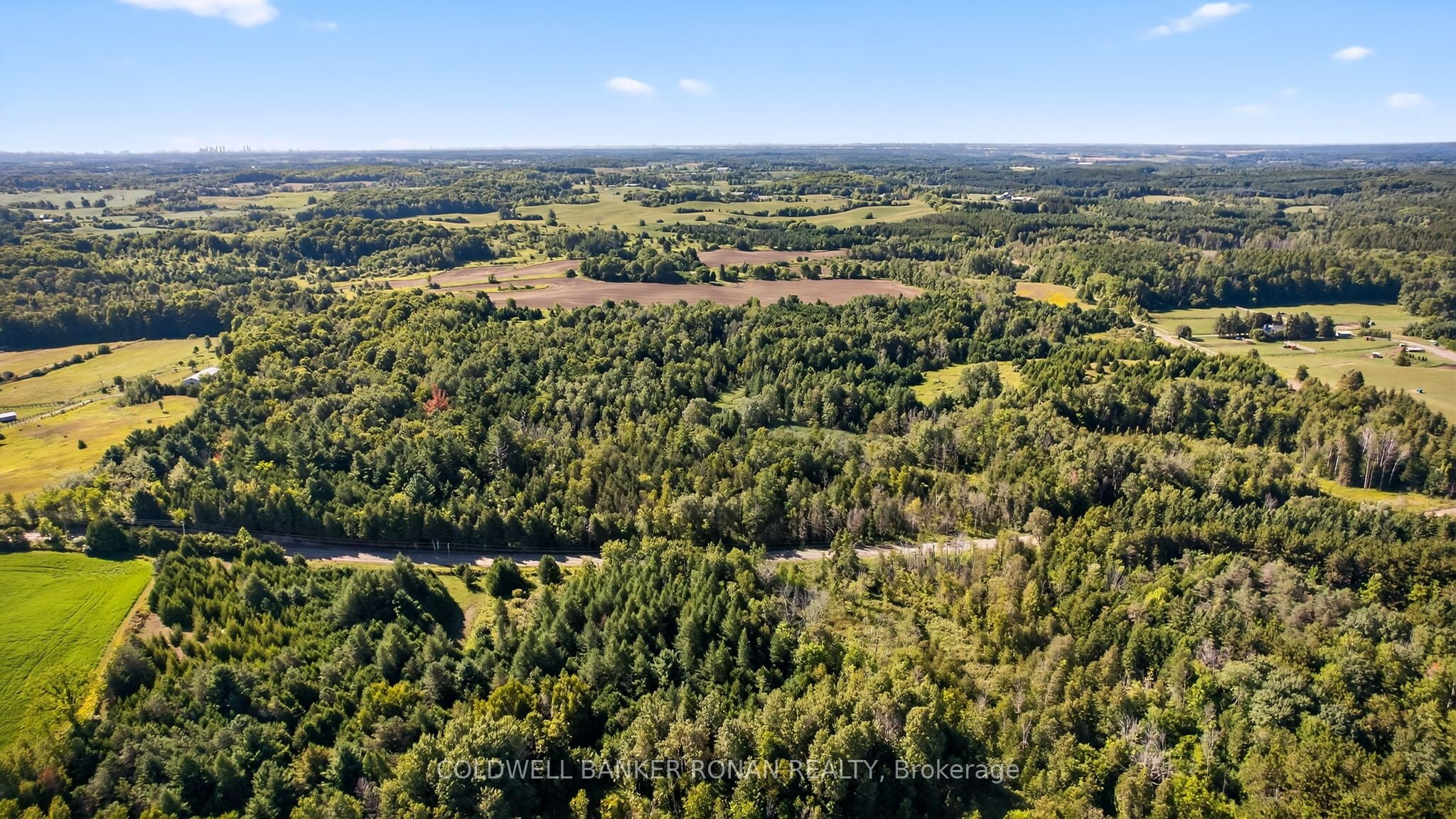 Additional image 3 of 8155 19th Side Road, King, ON, L0G 1T0