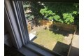 Additional image 6 of 90 School St Apt 3, Somerville, MA, 02143