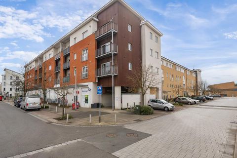 Whale Avenue, Reading RG2