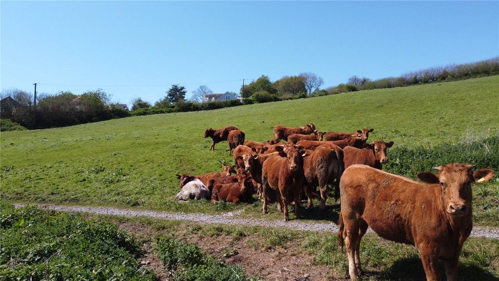 Additional image 17 of Land for saleErmington, Ivybridge, Devon PL21