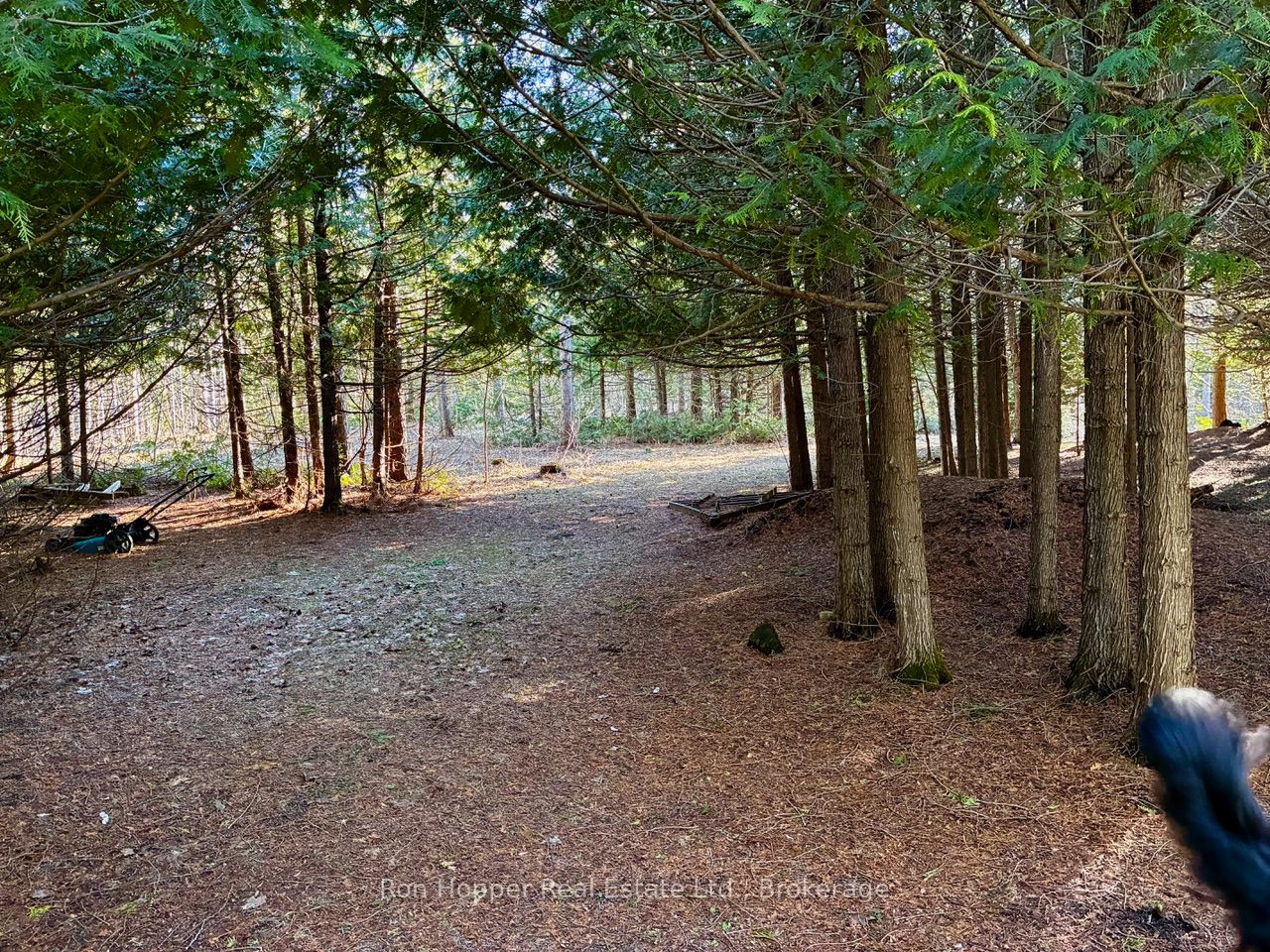 Additional image 3 of Lt 24 Conc Rd 6 Road, Chatsworth, ON, N0H 1K0