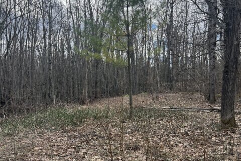 Additional image 7 of 3159 Switch Road, Ramara, ON, L0K 2B0