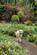 Additional image 38 of Woodlands, Portishead, Bristol