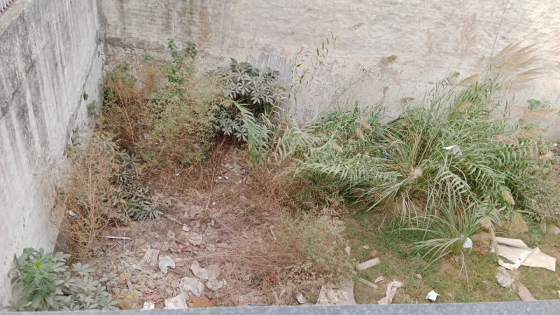 Sector 28, Panchkula