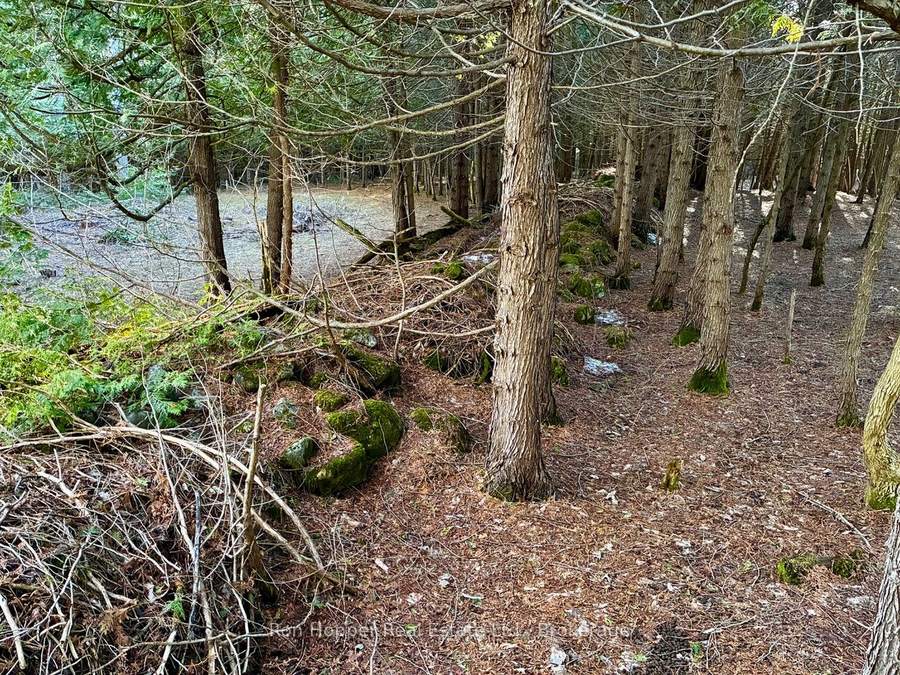 Additional image 5 of Lt 24 Conc Rd 6 Road, Chatsworth, ON, N0H 1K0