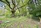 Additional image 19 of Graig Road, Godrergraig, Swansea.