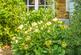 Additional image 26 of Little Green, Banbury OX15