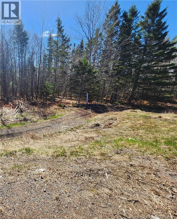 Additional image 6 of 47950 Chemin Homestead Road, Moncton, NB, E1G2P7