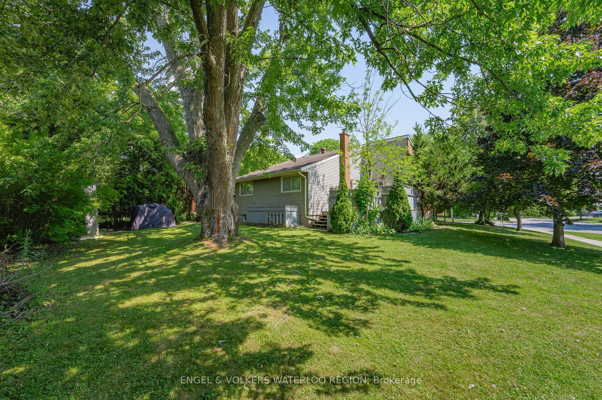 Additional image 3 of 31 Mulberry Lane, Waterloo, ON, N2L 5L4