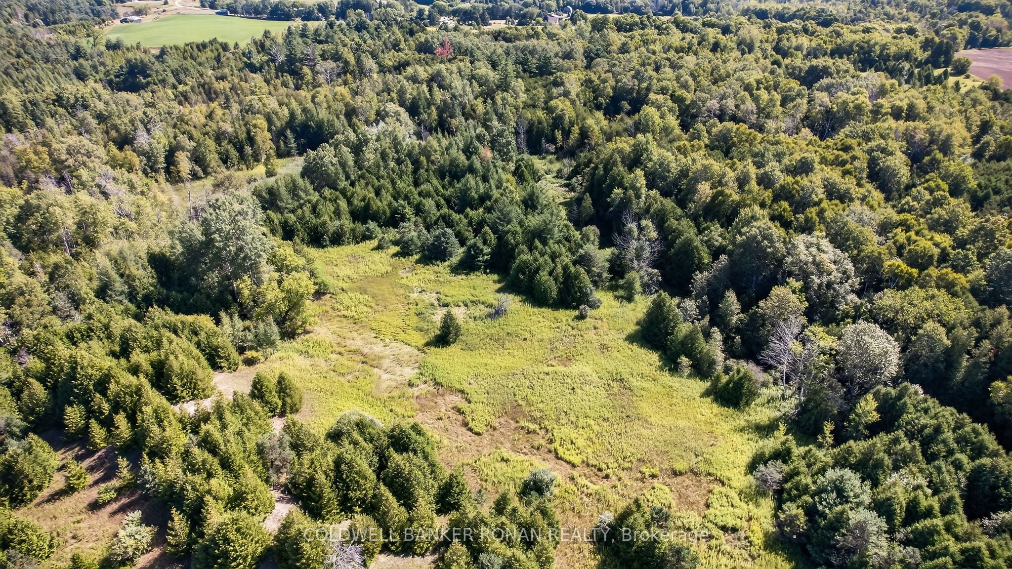 Additional image 6 of 8155 19th Side Road, King, ON, L0G 1T0