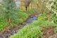 Additional image 29 of Southview Drive, Blanefield, G63
