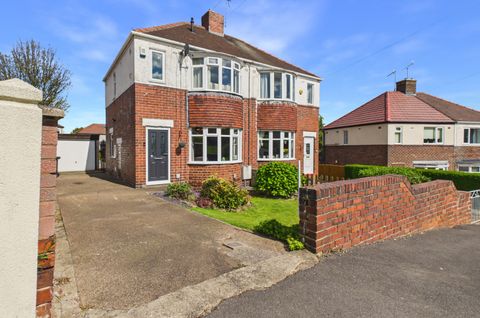 Hollinsend Avenue, Hollinsend. S12