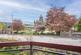 Additional image 21 of 95/7 Orchard Brae Avenue, Edinburgh, EH4