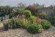 Additional image 32 of Horwood, Bideford