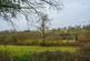 Additional image 14 of Silverhill, Robertsbridge TN32