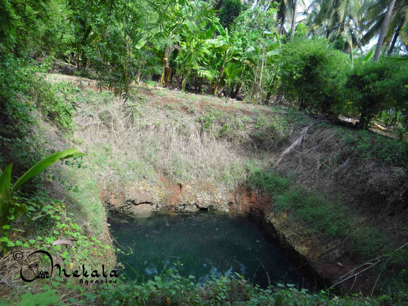 Thirumalayampalayam, Coimbatore photo 3