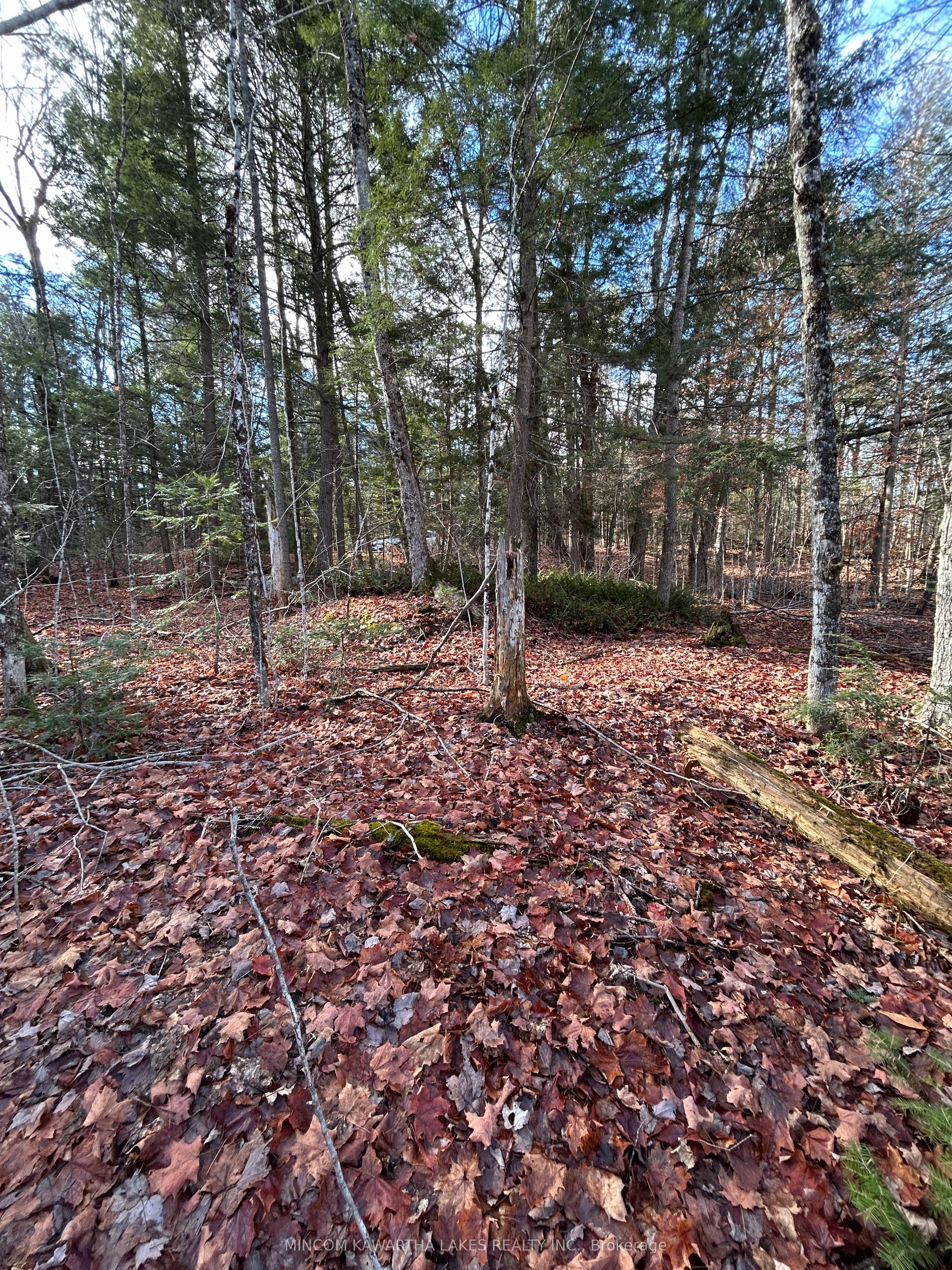 Additional image 3 of 0 Mill Lake Road, North Kawartha, ON, K0L 1A0