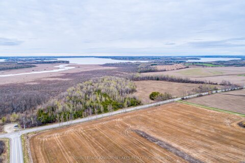 Additional image 8 of 890 Ramsey Road, Kawartha Lakes, ON, K0M 2C0