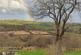 Additional image 20 of Tynreithyn, Tregaron SY25