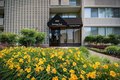 Additional image 15 of 1818 Metzerott Rd, Adelphi, MD, 20783