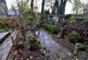Additional image 4 of St. Marks Place, Low Moor