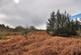 Additional image 18 of Newton Stewart, DG8