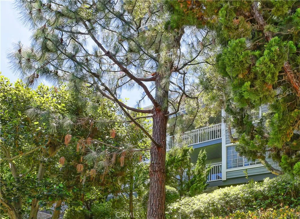 Additional image 42 of 1418 Brett Place #206, San Pedro, CA 90732