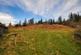Additional image 19 of Newton Stewart, DG8