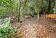 Additional image 21 of South Hill, Chislehurst