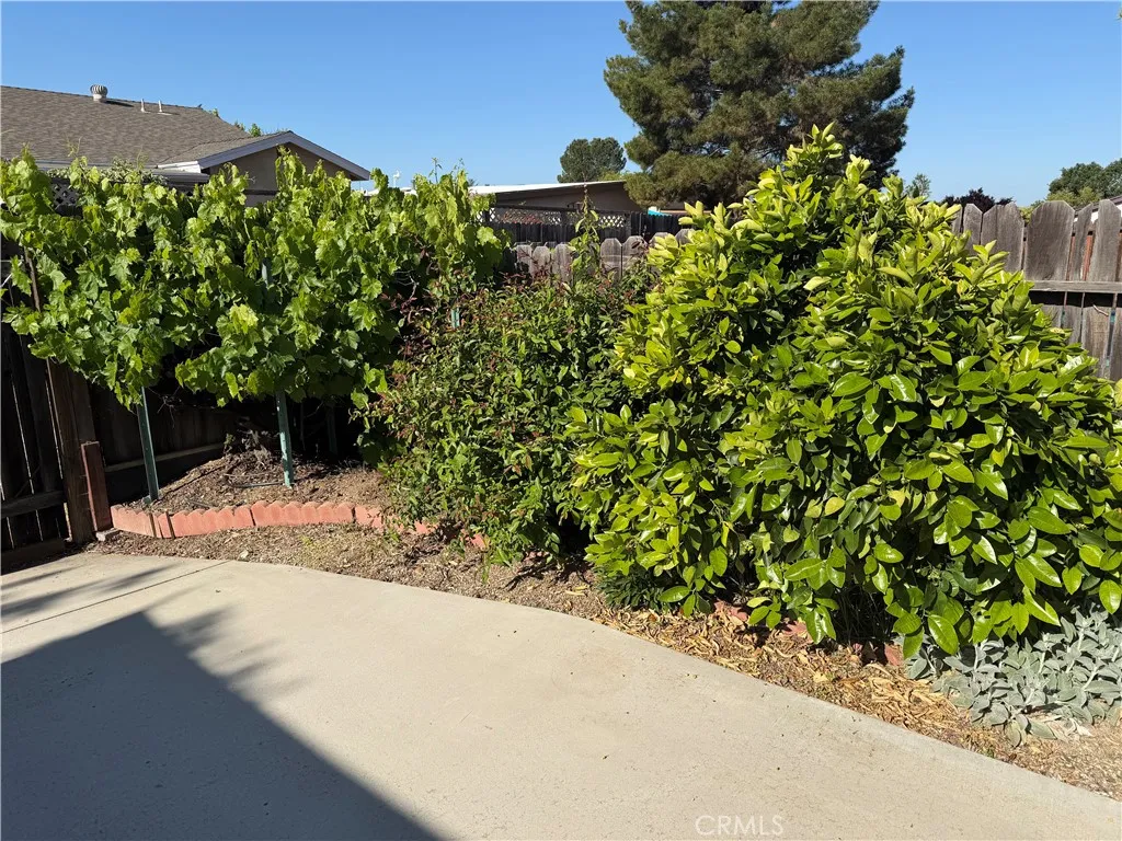 Additional image 72 of 1032 Scott St, Paso Robles, CA 93446