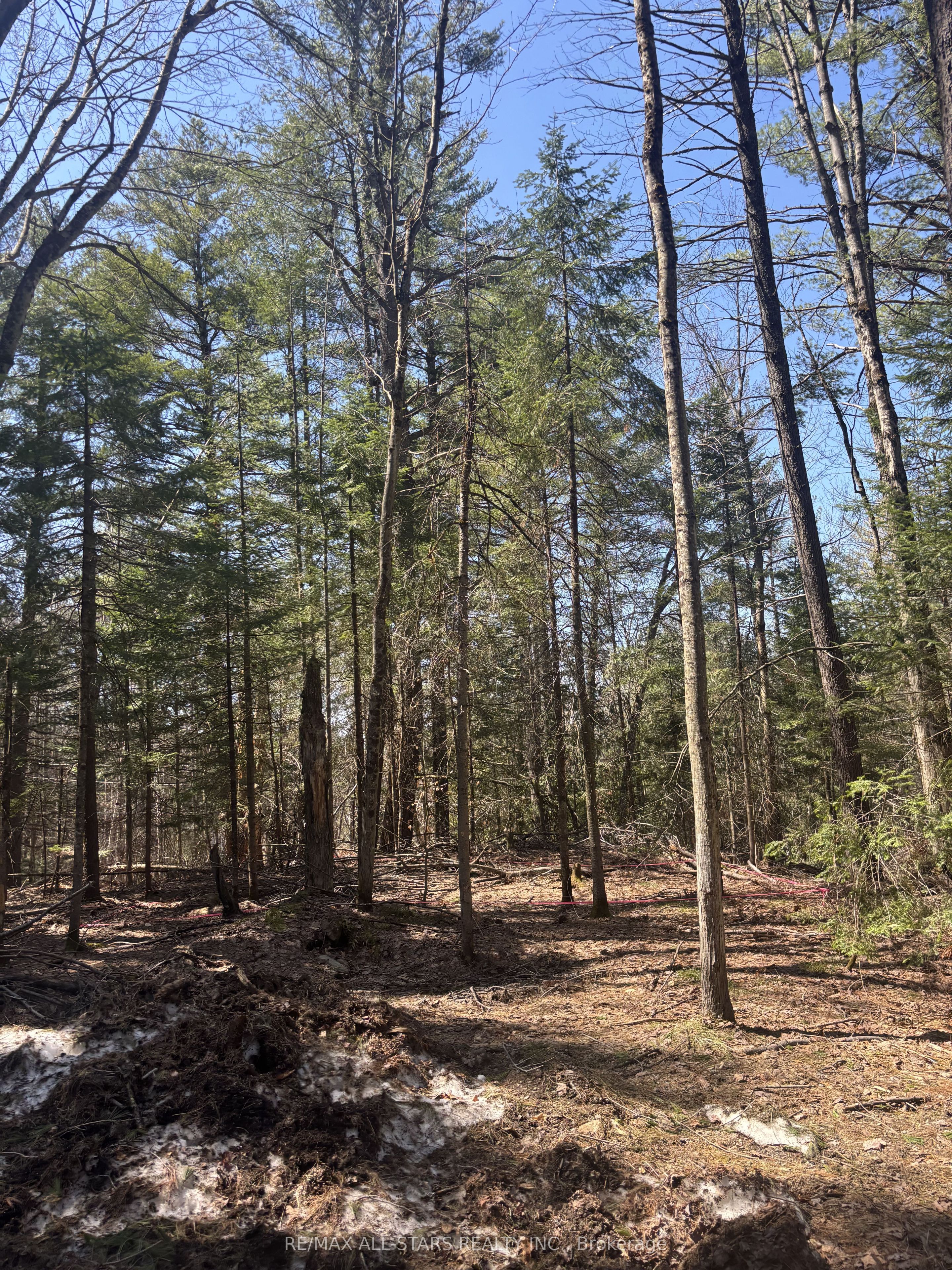 Additional image 5 of 0 Kirkpatrick Lane, Bracebridge, ON, P1L 1X3