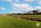 Additional image 20 of Montgomery Drive, Basildon SS14