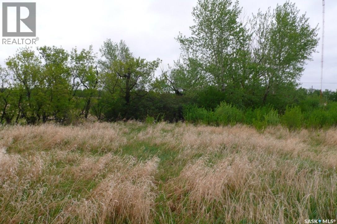 Gustavson Property