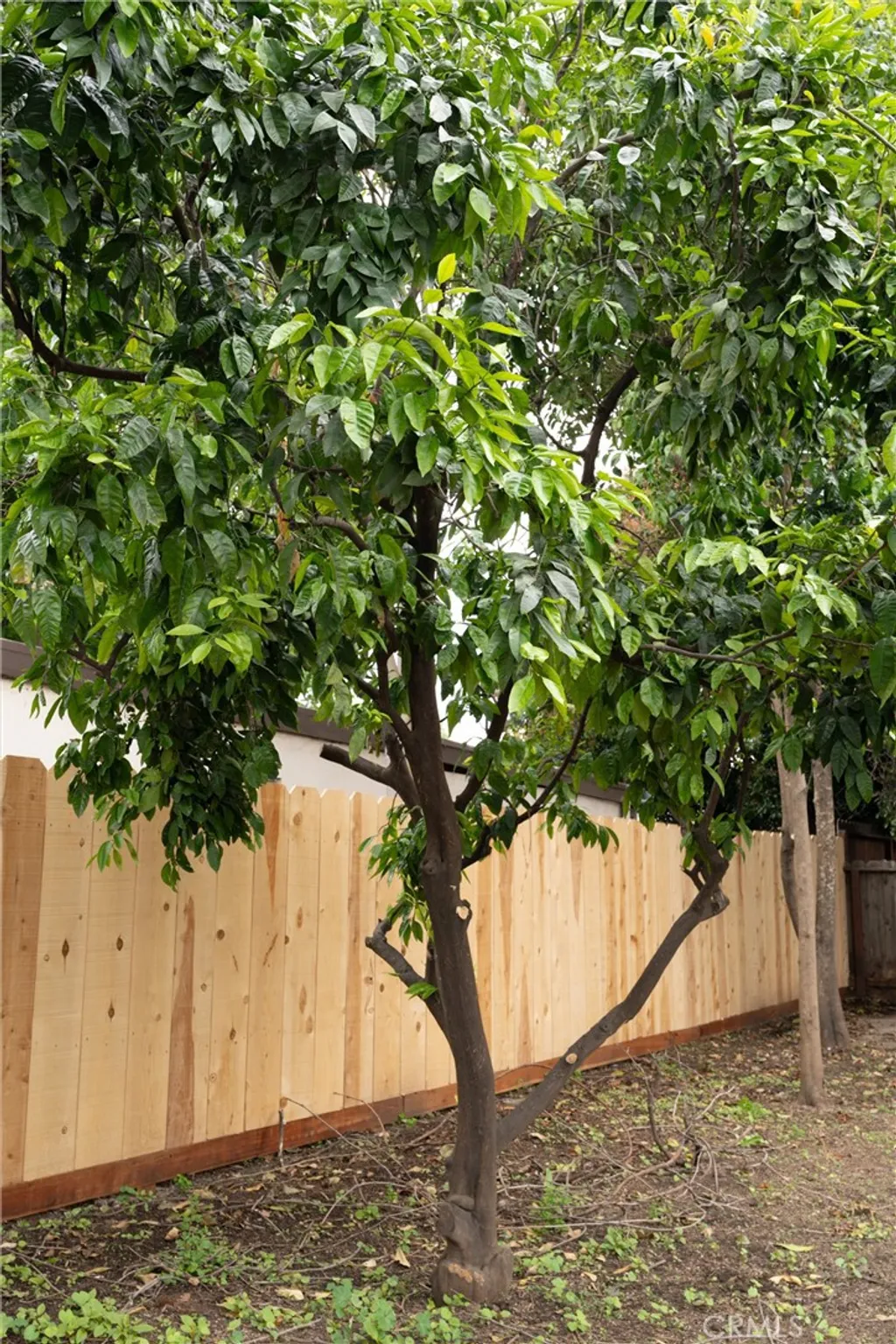 Additional image 33 of 111 Macdonald Ave, Chico, CA 95926