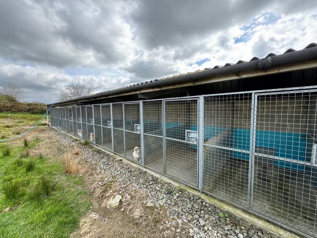 Additional image 60 of 5 bed farm for saleTalgarreg, Llandysul SA44