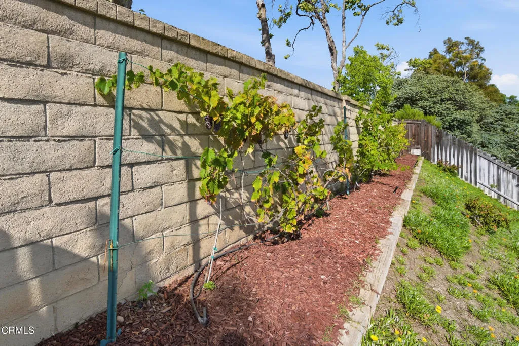 Additional image 54 of 5229 Hillridge Drive, Camarillo, CA 93012