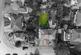 Additional image 23 of Margaret Road, Sutton Coldfield, West Midlands, B73 5AJ