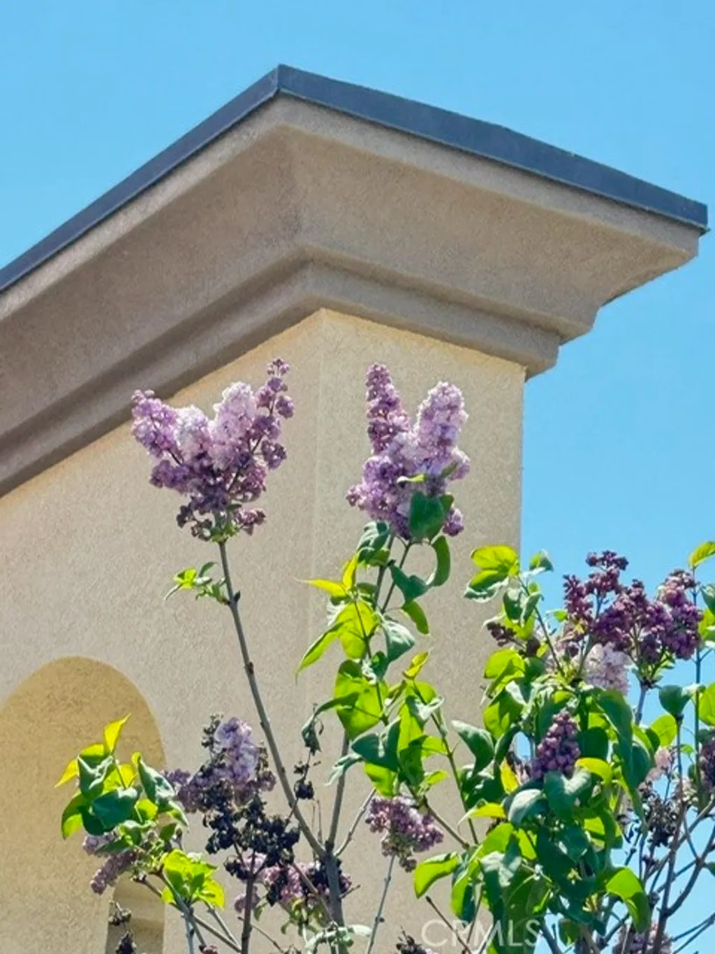 Additional image 64 of 14798 San Jacinto Drive, Moreno Valley, CA 92555