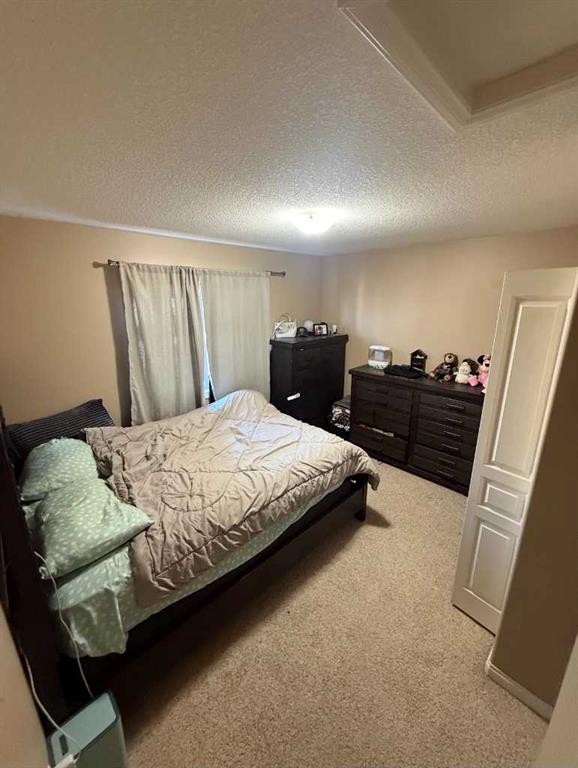 Additional image 5 of 12014 102 A Street, Grande Prairie, AB, T8V 0M7