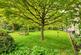 Additional image 4 of Audley Park Road, Bath, BA1