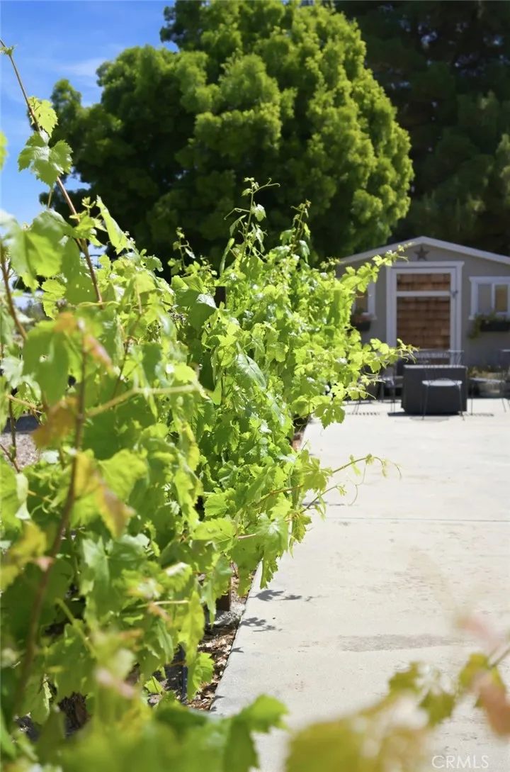 Additional image 77 of 41714 Avenida De Anita, Temecula, CA 92592