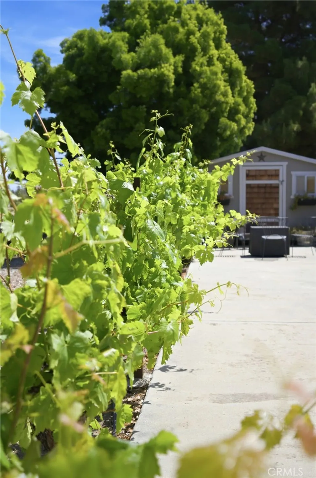Additional image 35 of 41714 Avenida De Anita, Temecula, CA 92592